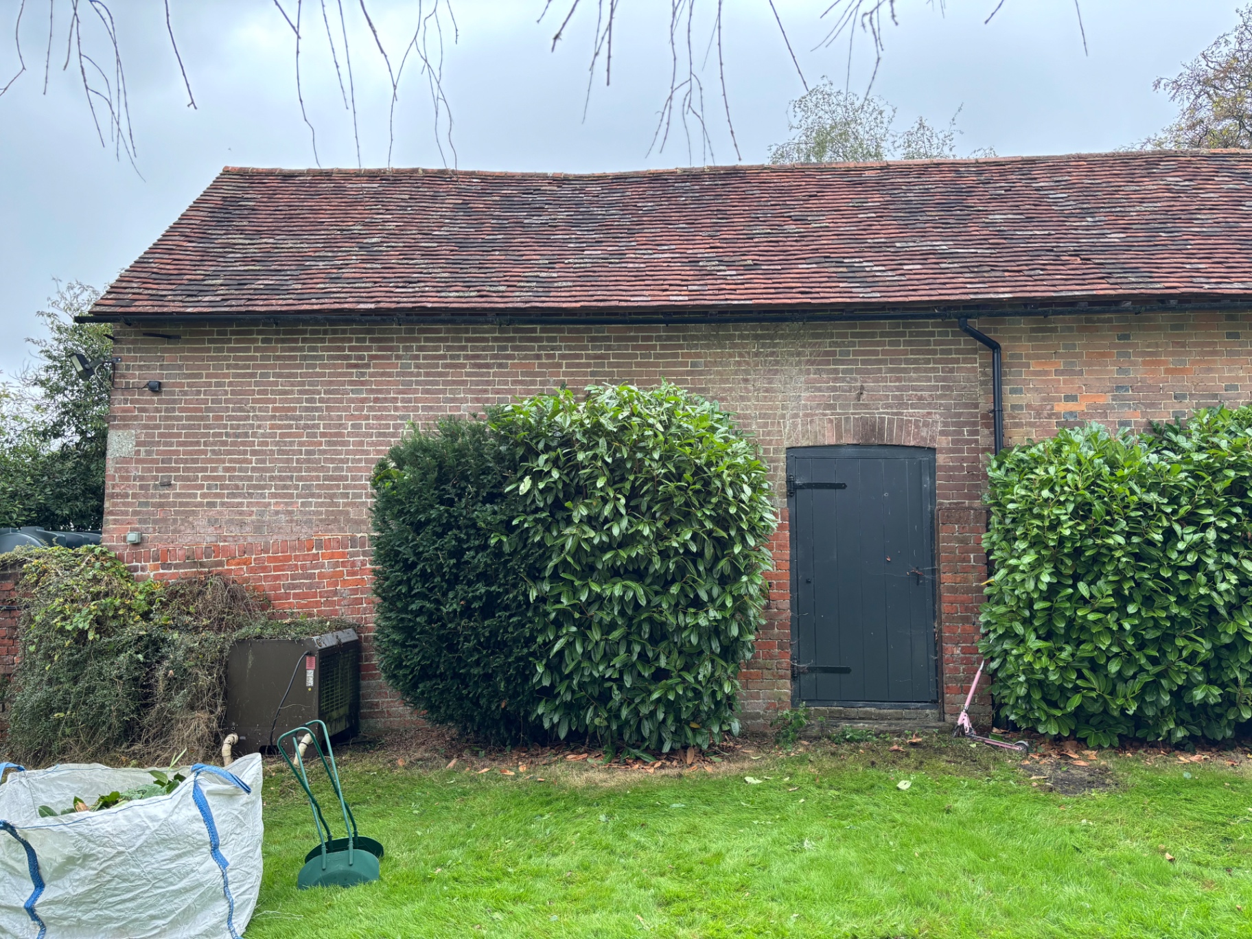 Laurel growth encroaching across the barn frontage with clippings bagged up — during