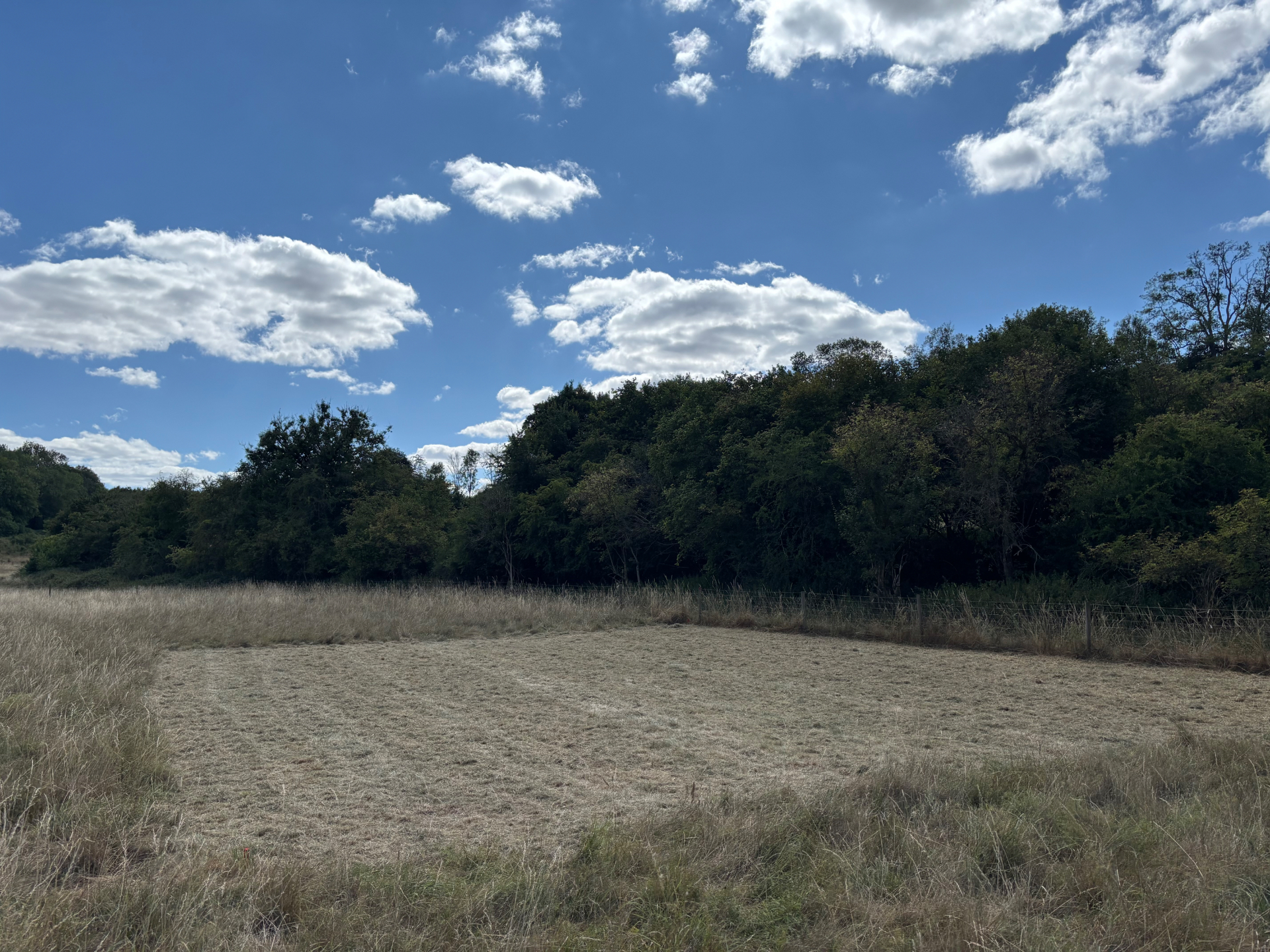 Plot cut back to a clean, even finish along the boundary fence line — after