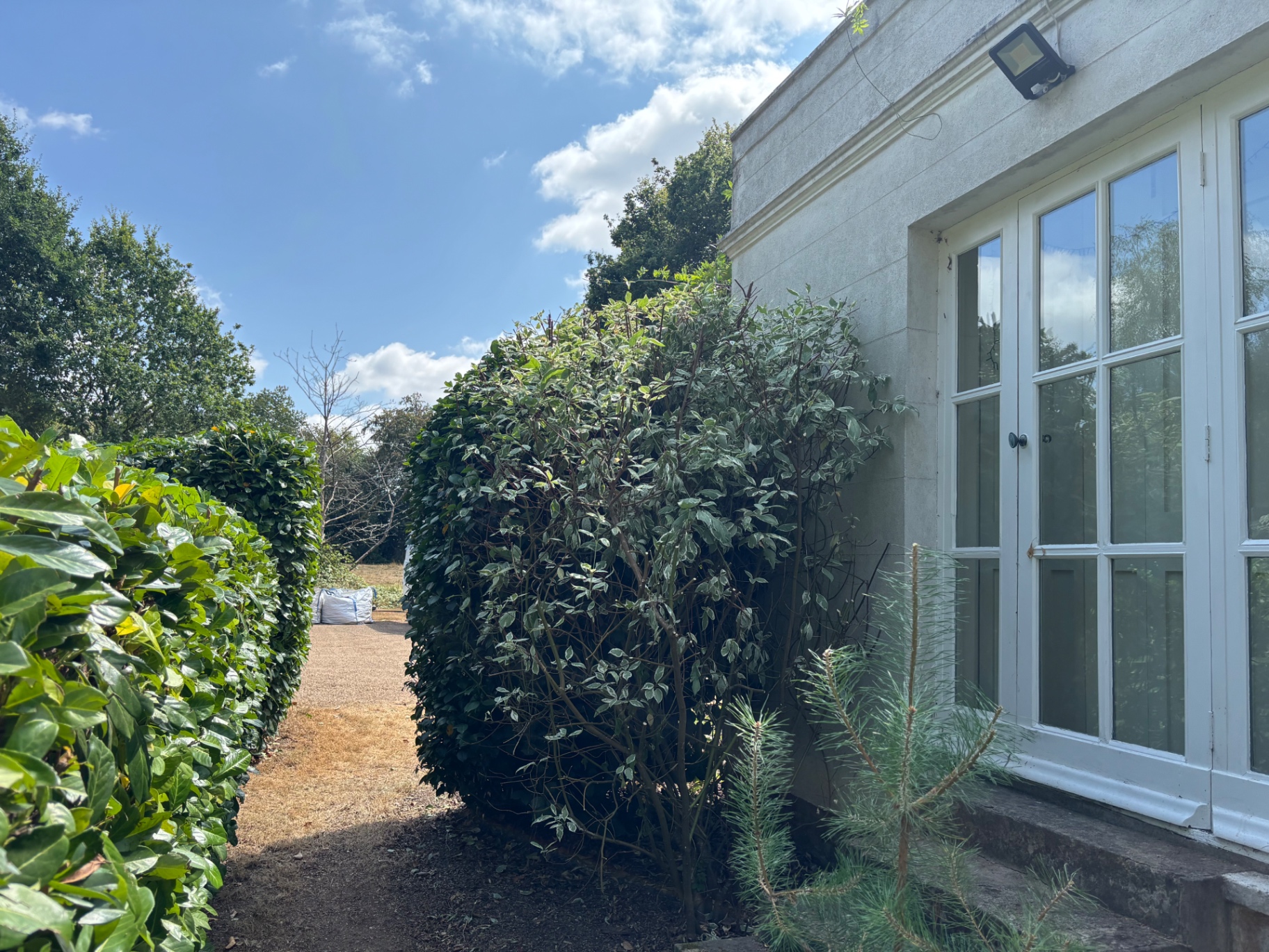 Borders cut back and cleared from the windows, beds tidied — after