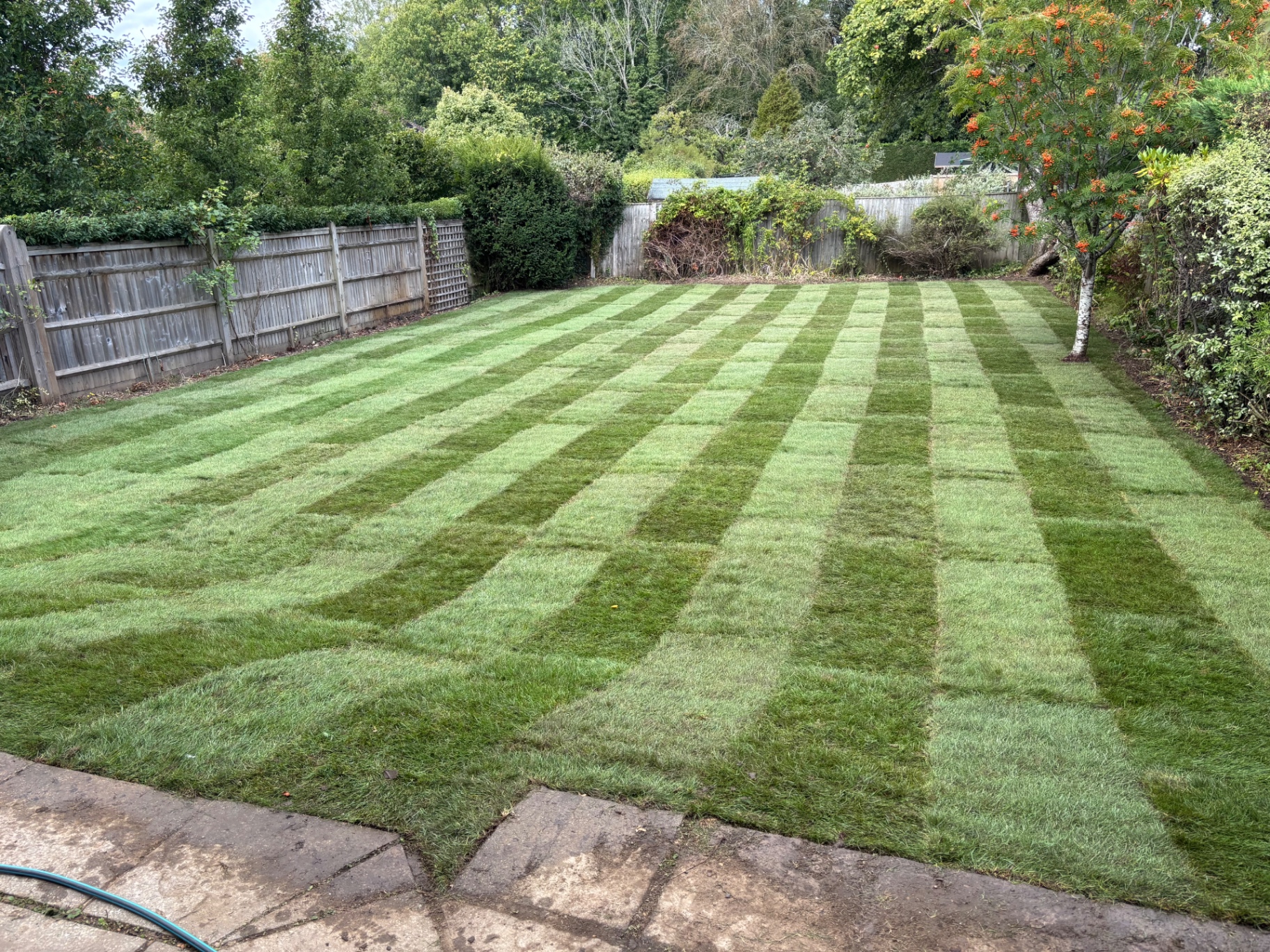 Immaculate garden maintained by Gardner Contract Services