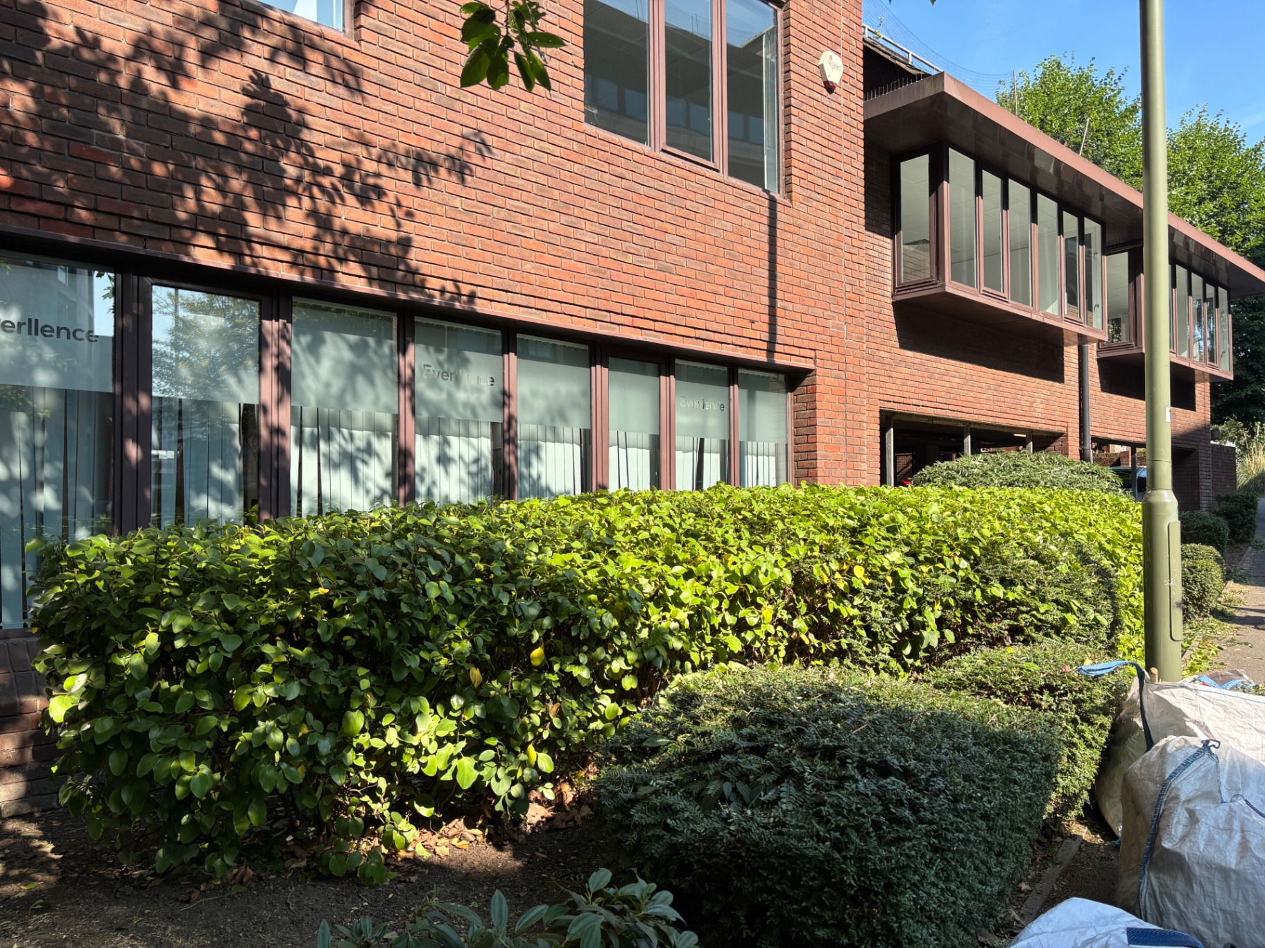 Hedge line reduced and squared off along the office elevation — after