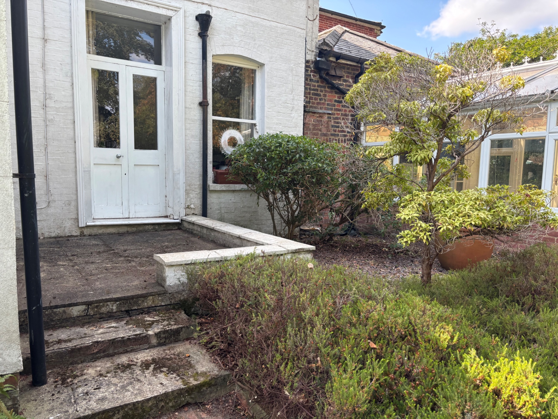 Shrubs pruned back hard from the entrance steps and pathways — after