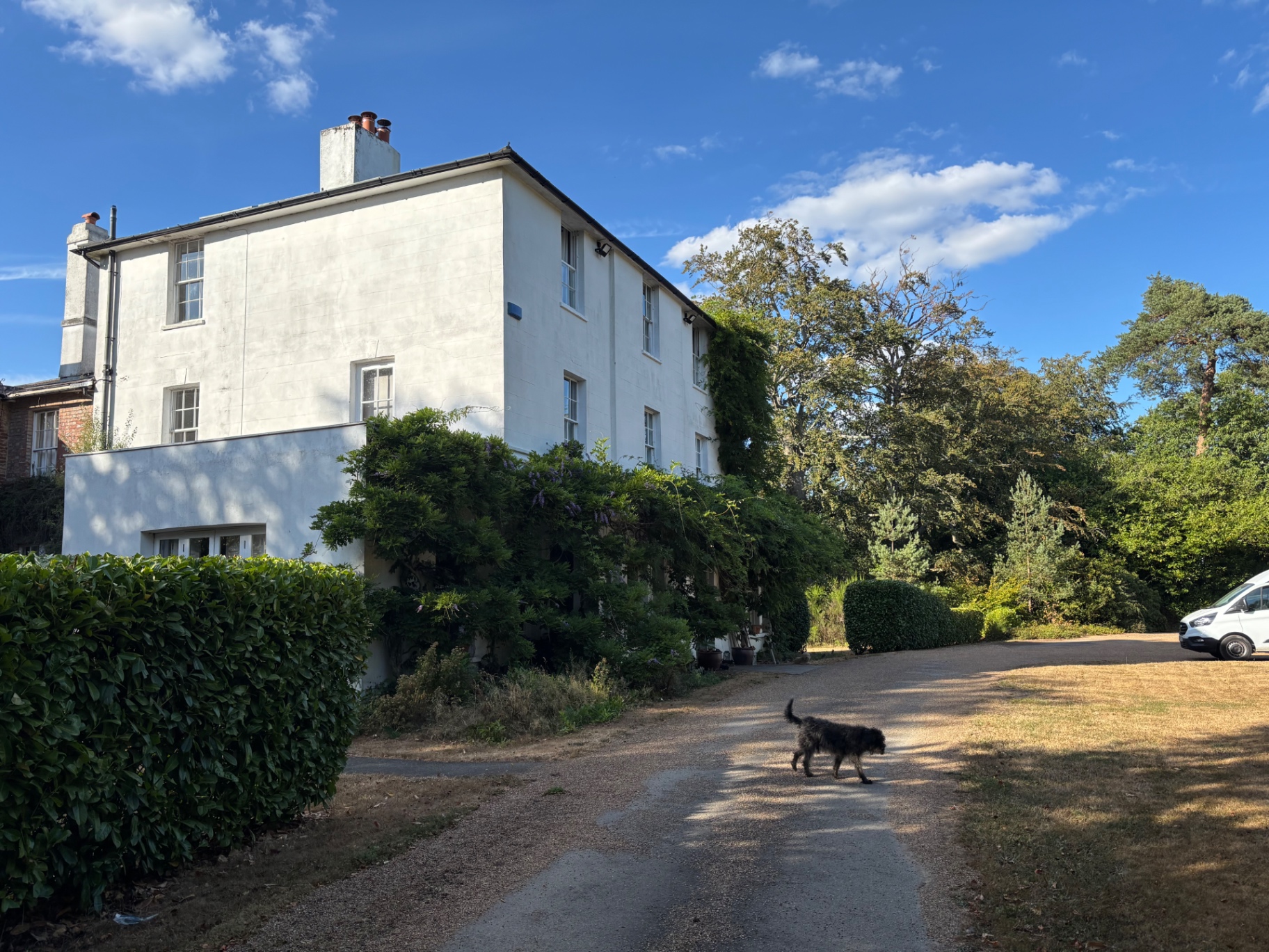 Grounds maintained along the drive with wisteria kept in check