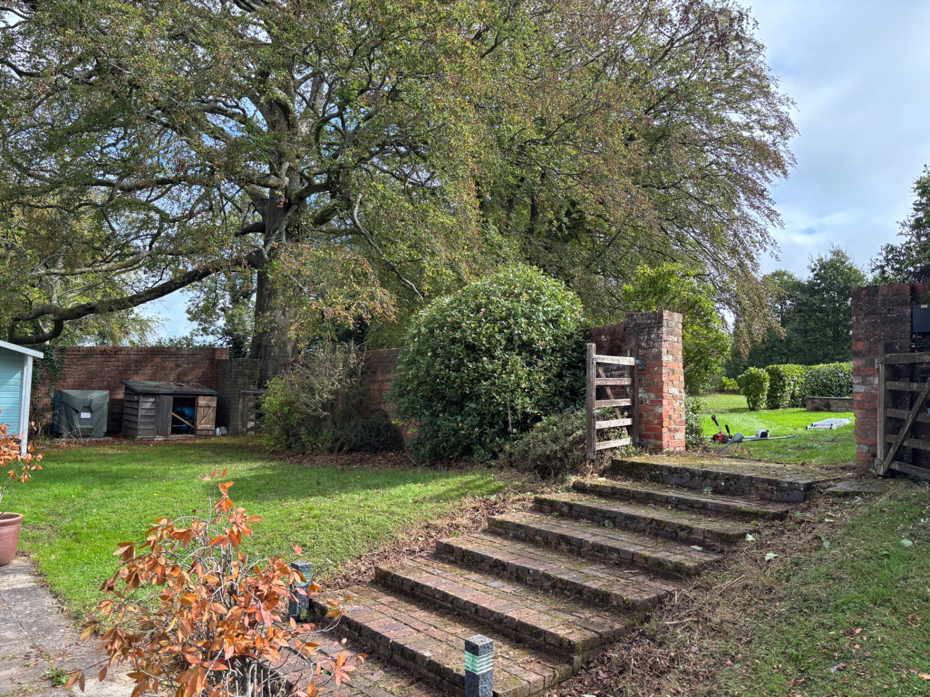 Lawn, brick steps and outbuildings cut back and cleared to a tidy finish — after
