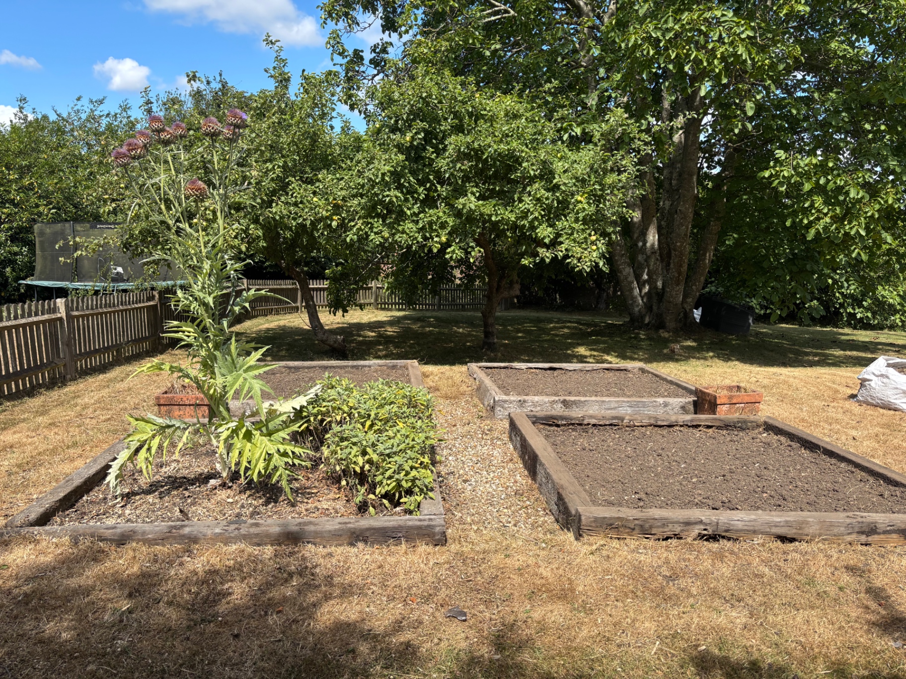 Raised vegetable beds cleared, turned over and edged — after