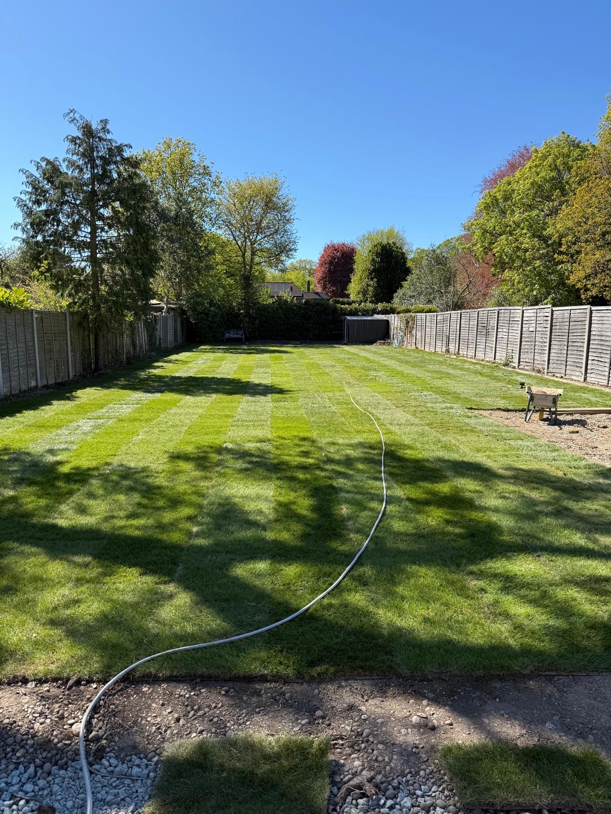 Completed lawn — lush, striped and ready to enjoy — lawn renovation project by Gardner Contract Services